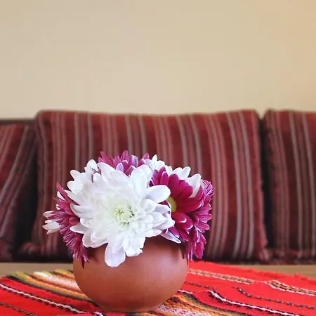 Horizont Сонячний Берег