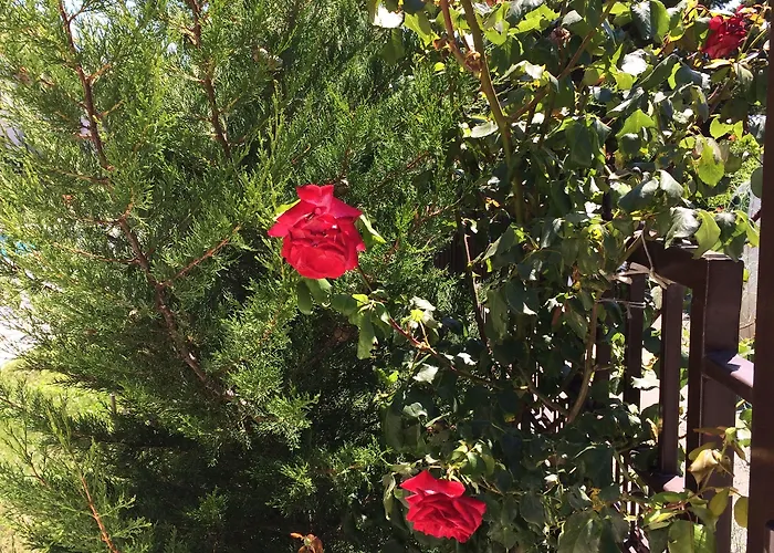 Horizont Apartamento